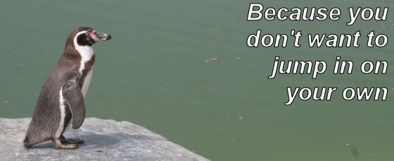 Myriad are there when you don't want to jump in on your own.