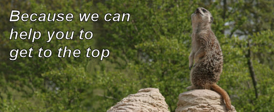 Myriad can help you get to the top